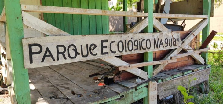 El Parque Ecológico Nagua: Un tesoro abandonado en el corazón de nuestra comunidad